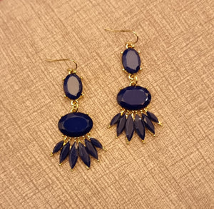 Deep Blue Stony Magic Earrings.